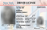 drivers license